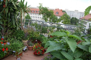 Balkon mit viel Grün