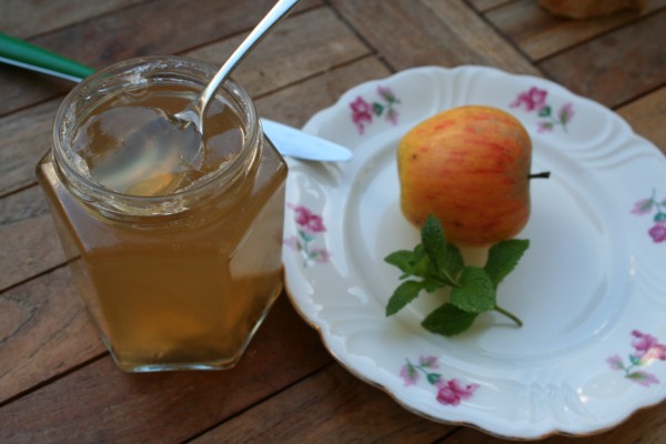 Rezept Apfel-Minz-Gelee | Livona - Bio-Blog