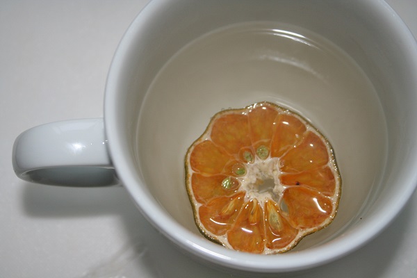 Estilo Limettentee Aufguß Limettenscheibe in der Tasse