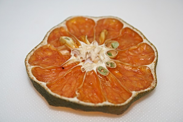 getrocknete Limettenscheibe Limettenscheibe getrocknet