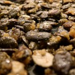 Bio-Kürbiskerne karamellisiert im Detail