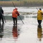 Fischer im Bio-Karpfen-Teich