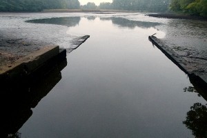 abgelassener Bio-Karpfen-Teich
