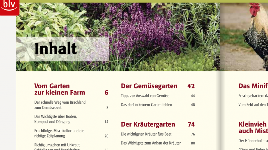 Ausschnitt Inhaltsverzeichnis