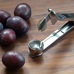 GSD-Pflaumenentsteiner entriegelt mit Pflaumen