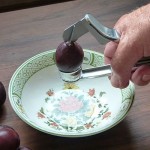 Pflaume entsteinen 1 mit Entsteiner