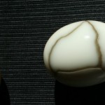 marmoriertes gekochtes Ei