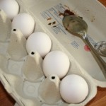 rohe Eier in der Eierpappe