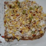 frische Sprossen auf Brot