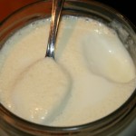 frischer Joghurt