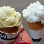 Greissler-Bio-Eis in Becher oder Tüte