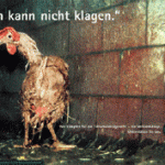 Hühnermassentierhaltung