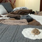 Alpaka Schals und Decke
