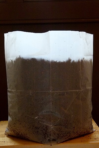 Erde quillt 2