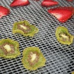 Erdbeeren und Kiwi getrocknet