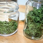 getrocknete Kräuter im Glas