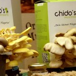 chidos Kleiner Pilzgarten