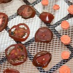 Tomaten und Möhrenscheiben