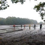 Abfischen eines Bio-Karpfen-Teichs