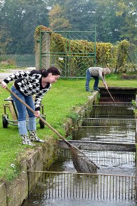 zwei Frauen fischen frischen Fisch