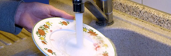 Teller unter fließendem, warmen Wasser reinigen