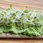 Blumenbrot mit Avocado und Sprossen