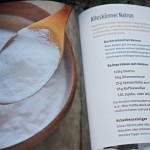 Buchauszug