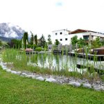 Naturteich vor Alpenkulisse