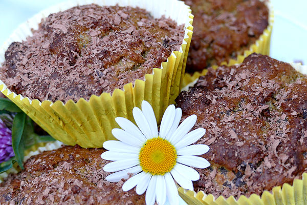 Kürbiskern-Muffins mit Zartbitterschokolade | Livona - Bio-Blog